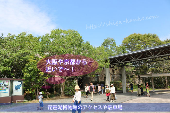 琵琶湖 博物館 アクセス