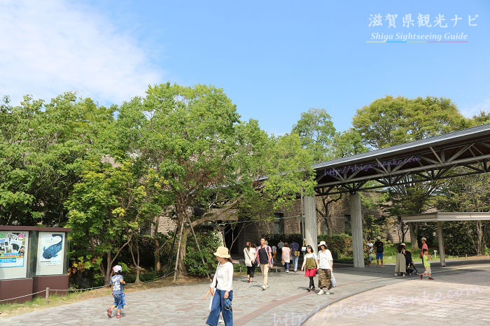 琵琶湖博物館の入口