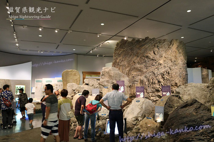 琵琶湖博物館ののA展示室