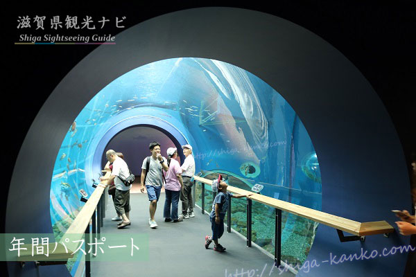 琵琶湖博物館の水中トンネル