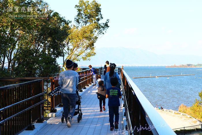 琵琶湖博物館の樹冠トレイル