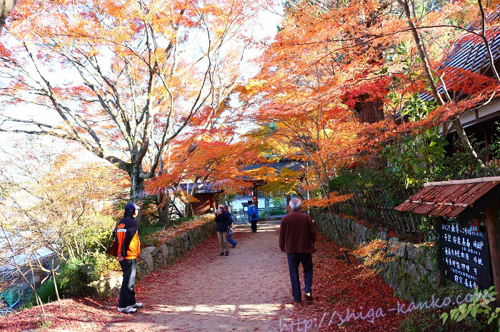 長寿寺の紅葉のトンネル