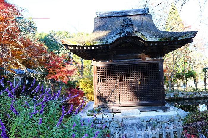長寿寺の弁天堂