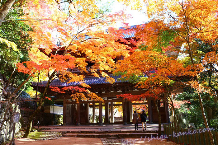 永源寺の山門と紅葉