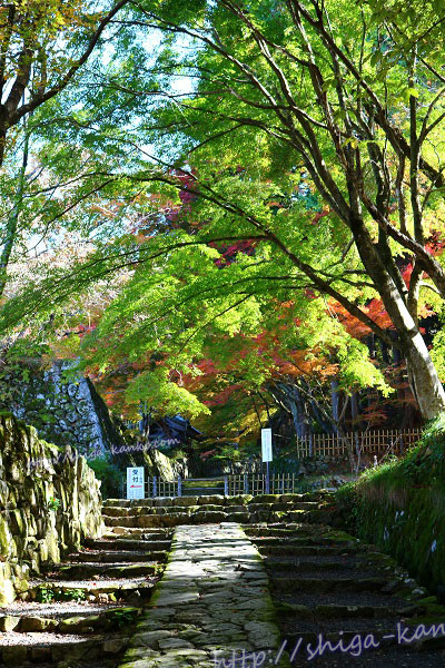 百済寺の参道