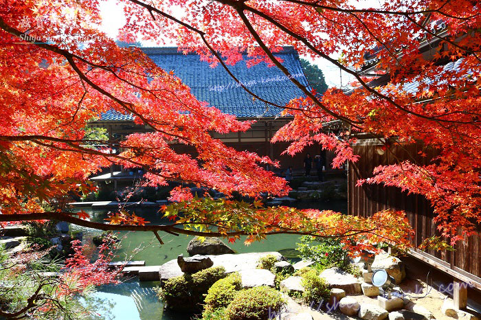 百済寺の庭園の縁側