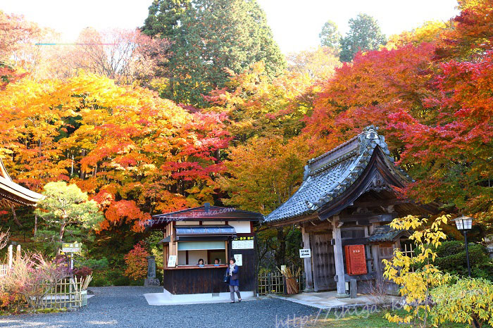 紅葉が綺麗な百済寺の受付