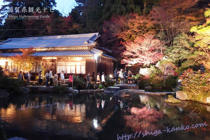 百済寺の庭園ライトアップ