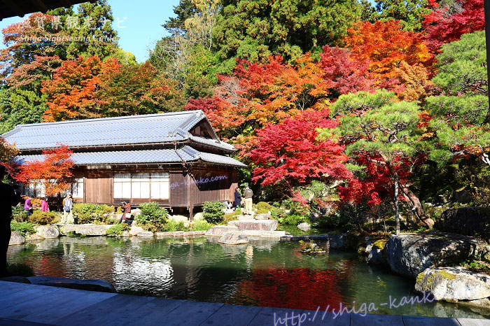 百済寺の庭園と紅葉