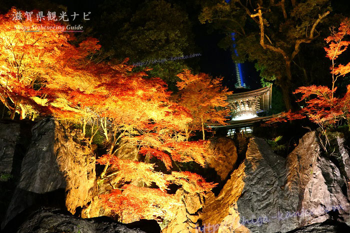 秋のライトアップされた石山寺の多宝塔