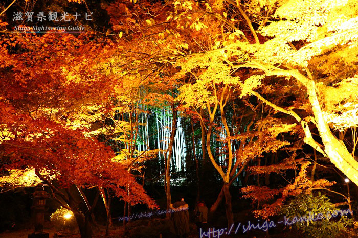 秋のライトアップされた石山寺の多宝塔