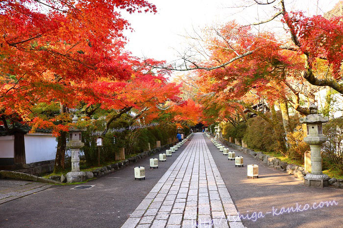 石山寺の石畳の参道と紅葉