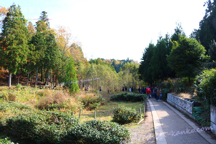 鶏足寺への徒歩ルート