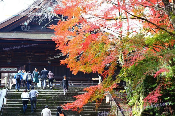 三井寺の紅葉