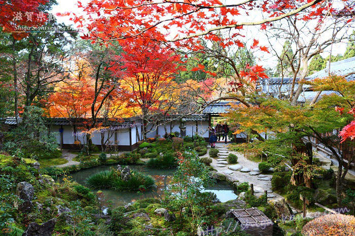 西明寺の名勝の庭園