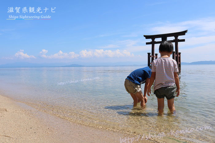浜辺で遊ぶ子ども